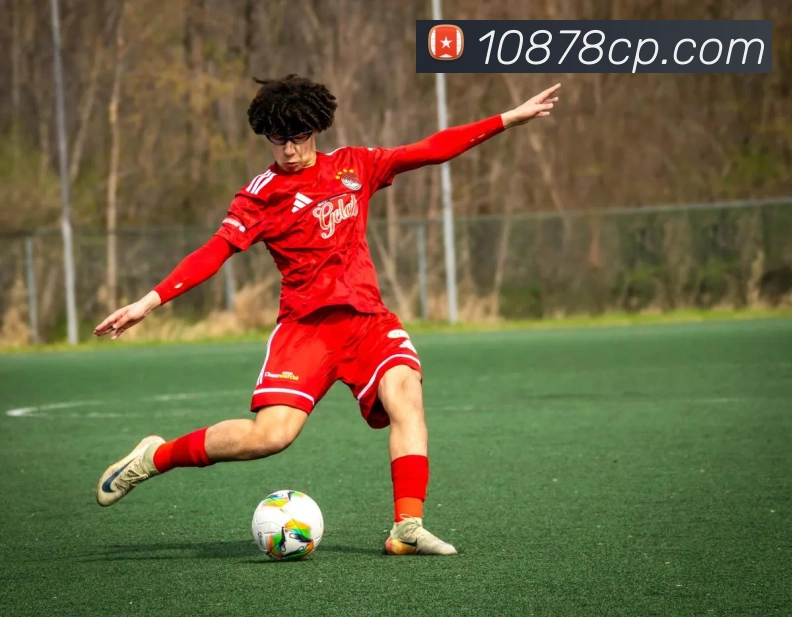 网上购彩票APP 封面图